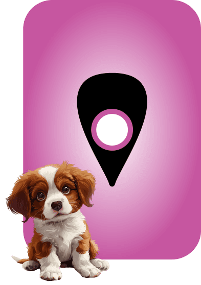 Symbol für Einsatzgebiet