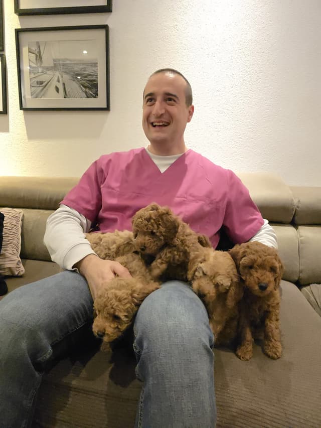 Über mich - Mobiler Tierarzt Dulovic