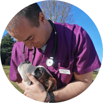 Dorde Dulovic – mobiler Tierarzt